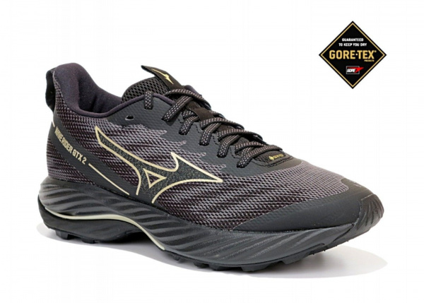 mizuno-rider-gtx2w-J1GD247921 -1400x1000